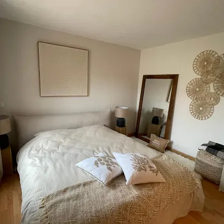 Daire New Cosy Flat Tropez